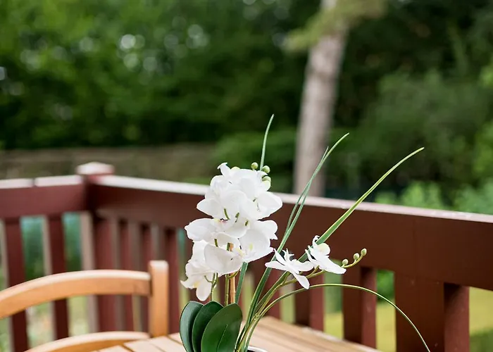 Apartament Camilla *